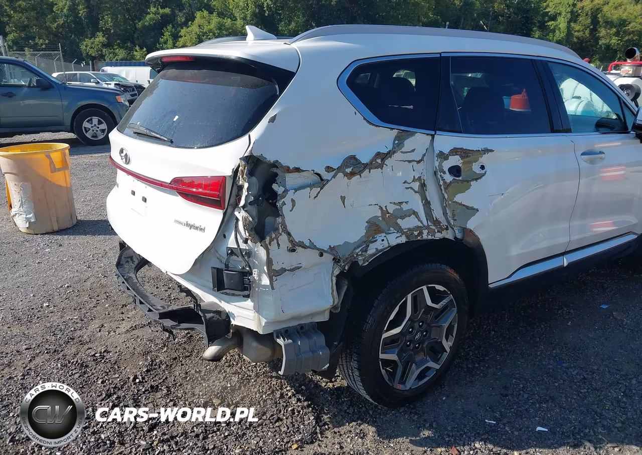 2022 Hyundai Santa Fe Hybrid Sel Premium VIN:KM8S3DA15NU044246 - 6