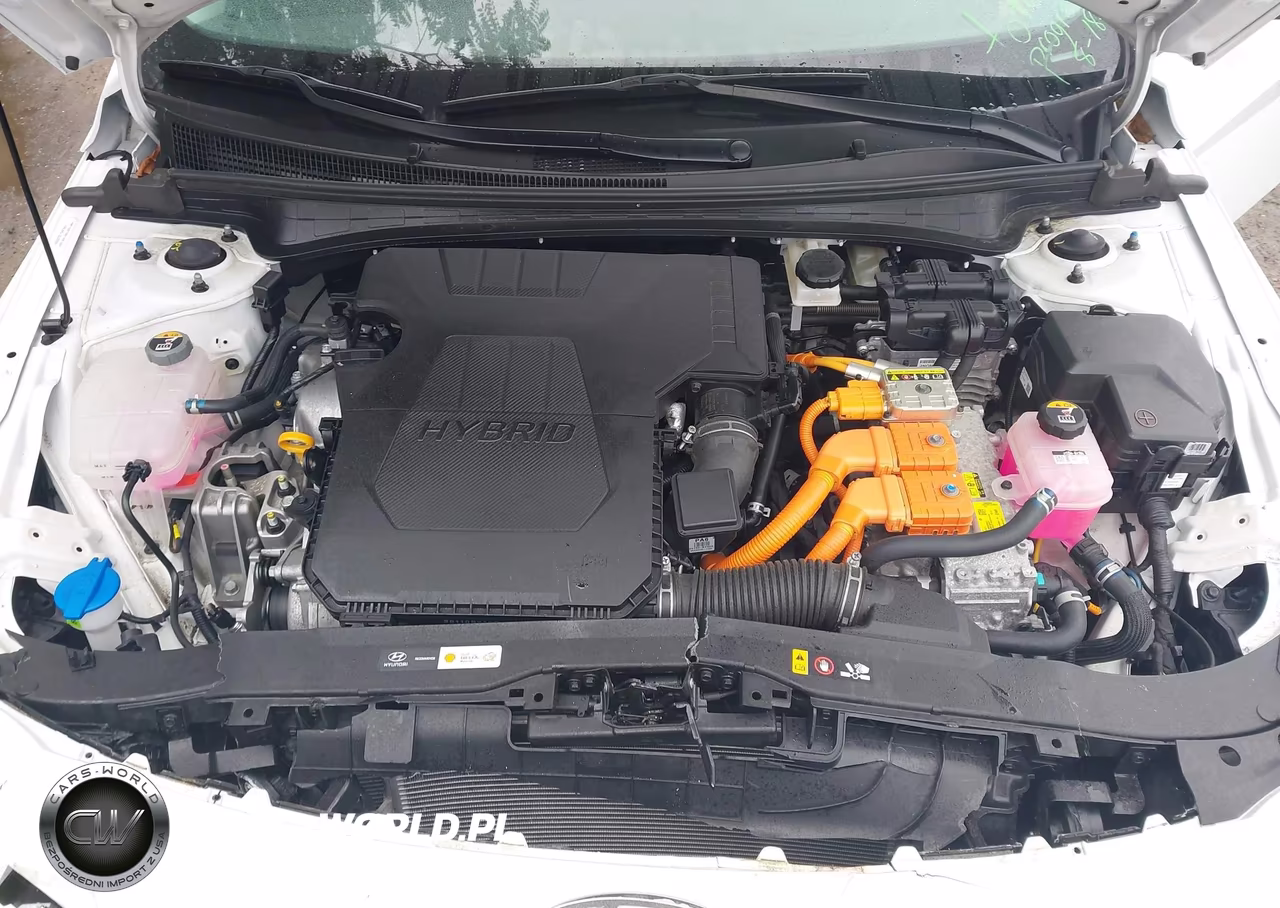 2025 Hyundai Elantra Hybrid Limited VIN:KMHLN4DJ1SU165569 - 10