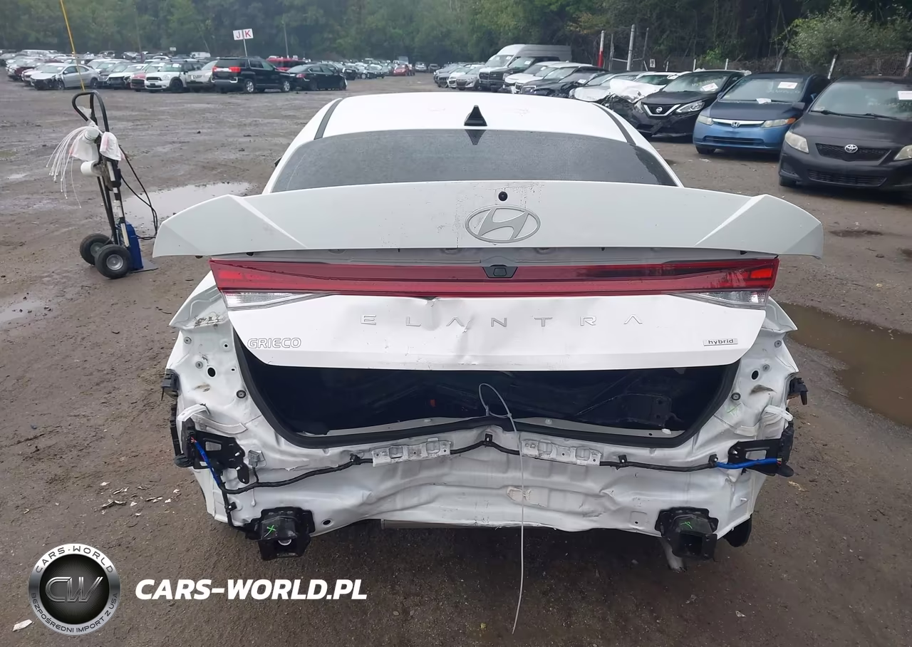 2025 Hyundai Elantra Hybrid Limited VIN:KMHLN4DJ1SU165569 - 17