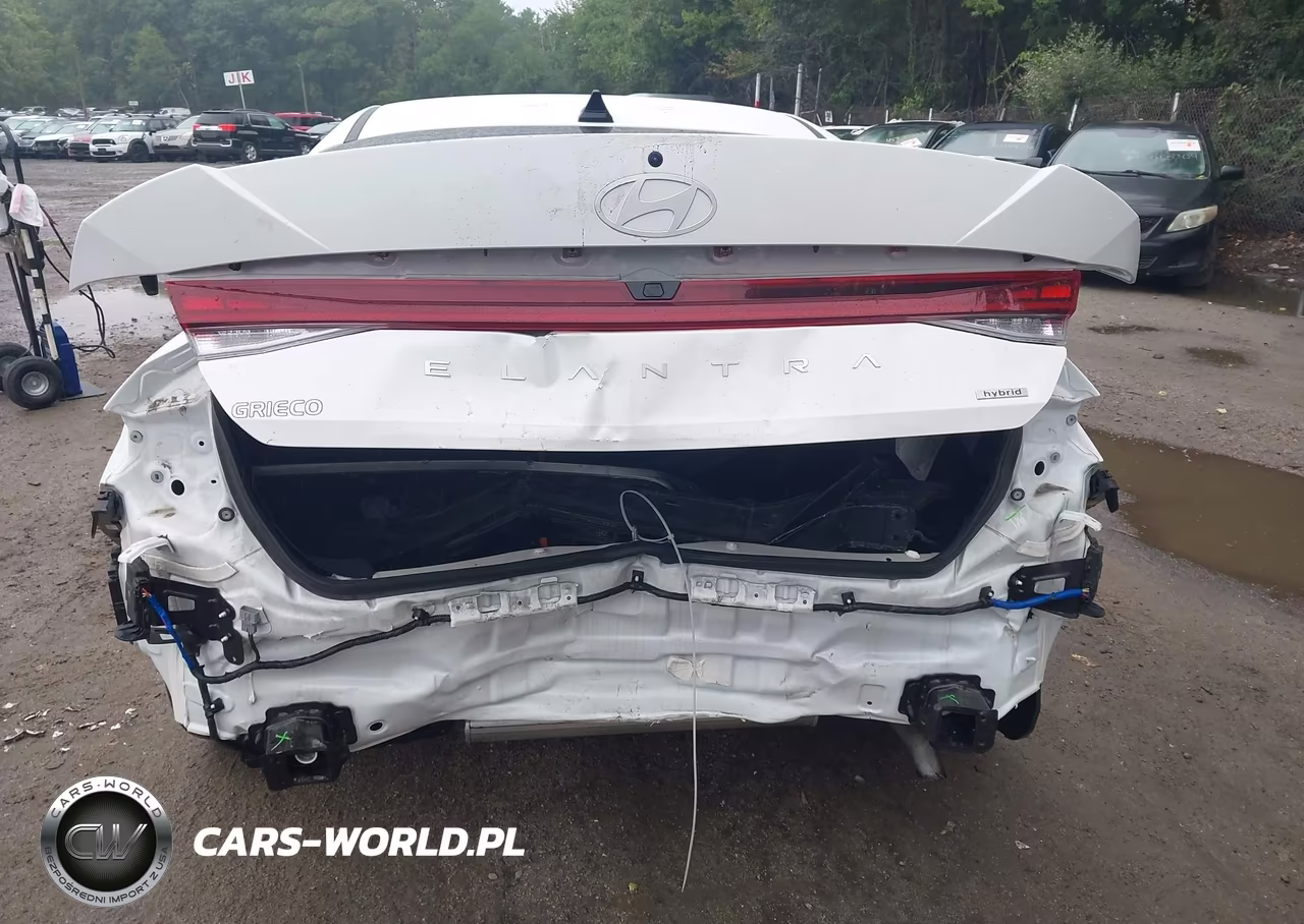 2025 Hyundai Elantra Hybrid Limited VIN:KMHLN4DJ1SU165569 - 18