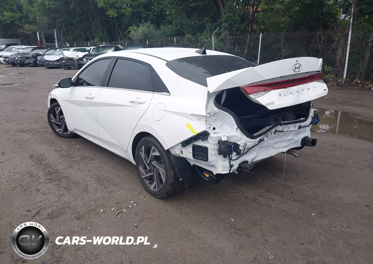2025 Hyundai Elantra Hybrid Limited VIN:KMHLN4DJ1SU165569 - 3