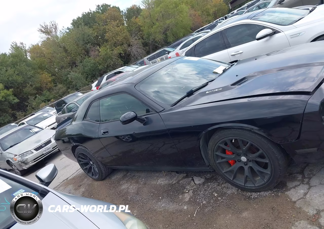 2009 Dodge Challenger Srt8 VIN:2B3LJ74W59H539130 - 13