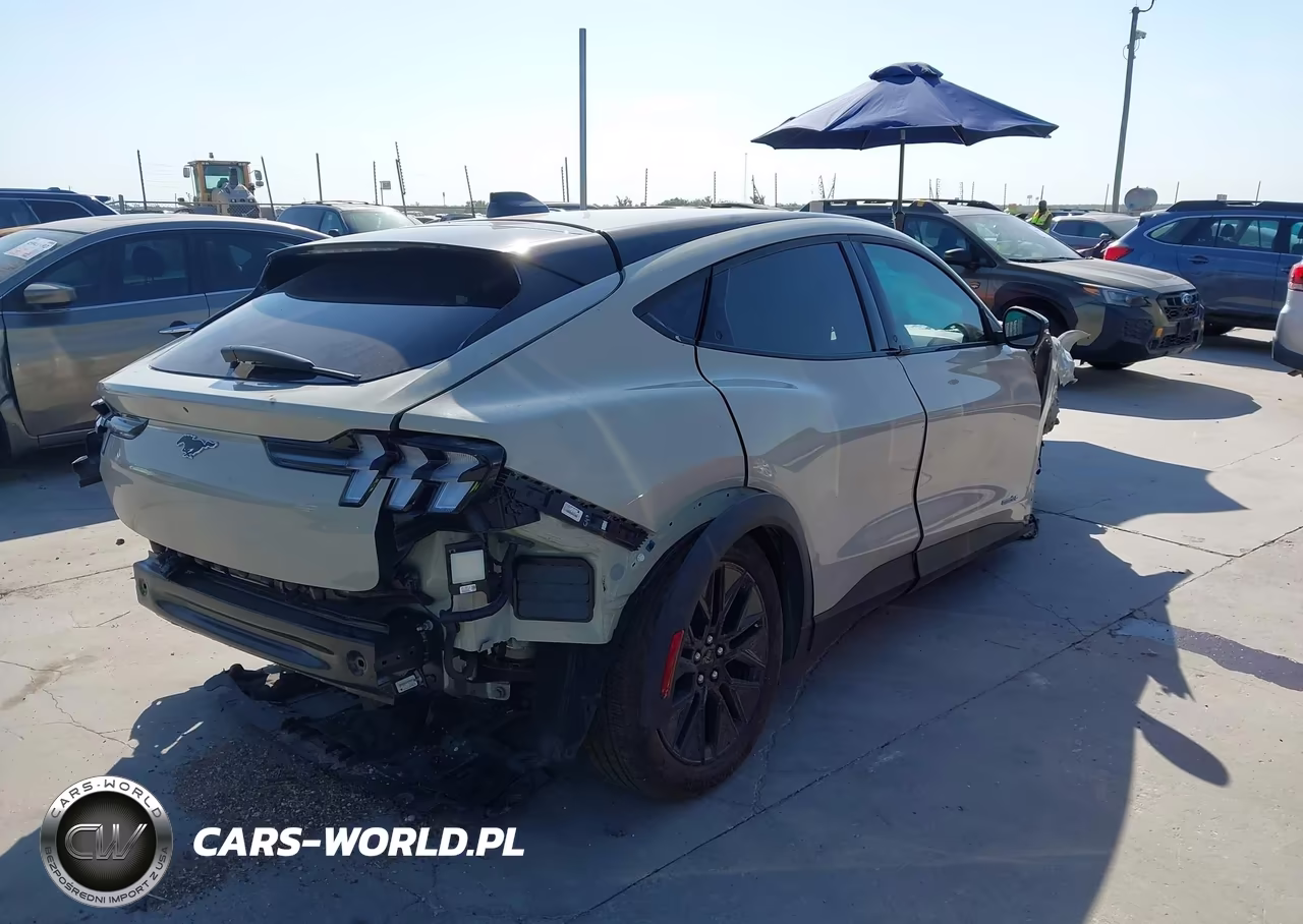 2025 Ford Mustang Mach-E Select VIN:3FMTK1R41SMA64448 - 4
