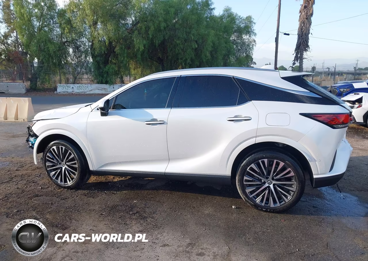 2024 Lexus Rx 350 Premium Plus VIN:2T2BAMBAXRC027787 - 14