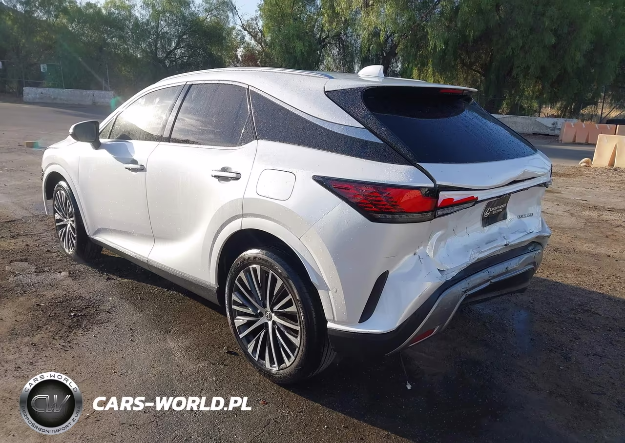 2024 Lexus Rx 350 Premium Plus VIN:2T2BAMBAXRC027787 - 3