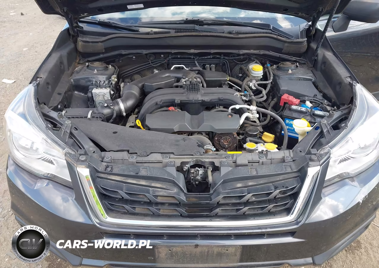2017 Subaru Forester 2.5I VIN:JF2SJAAC9HH401582 - 10