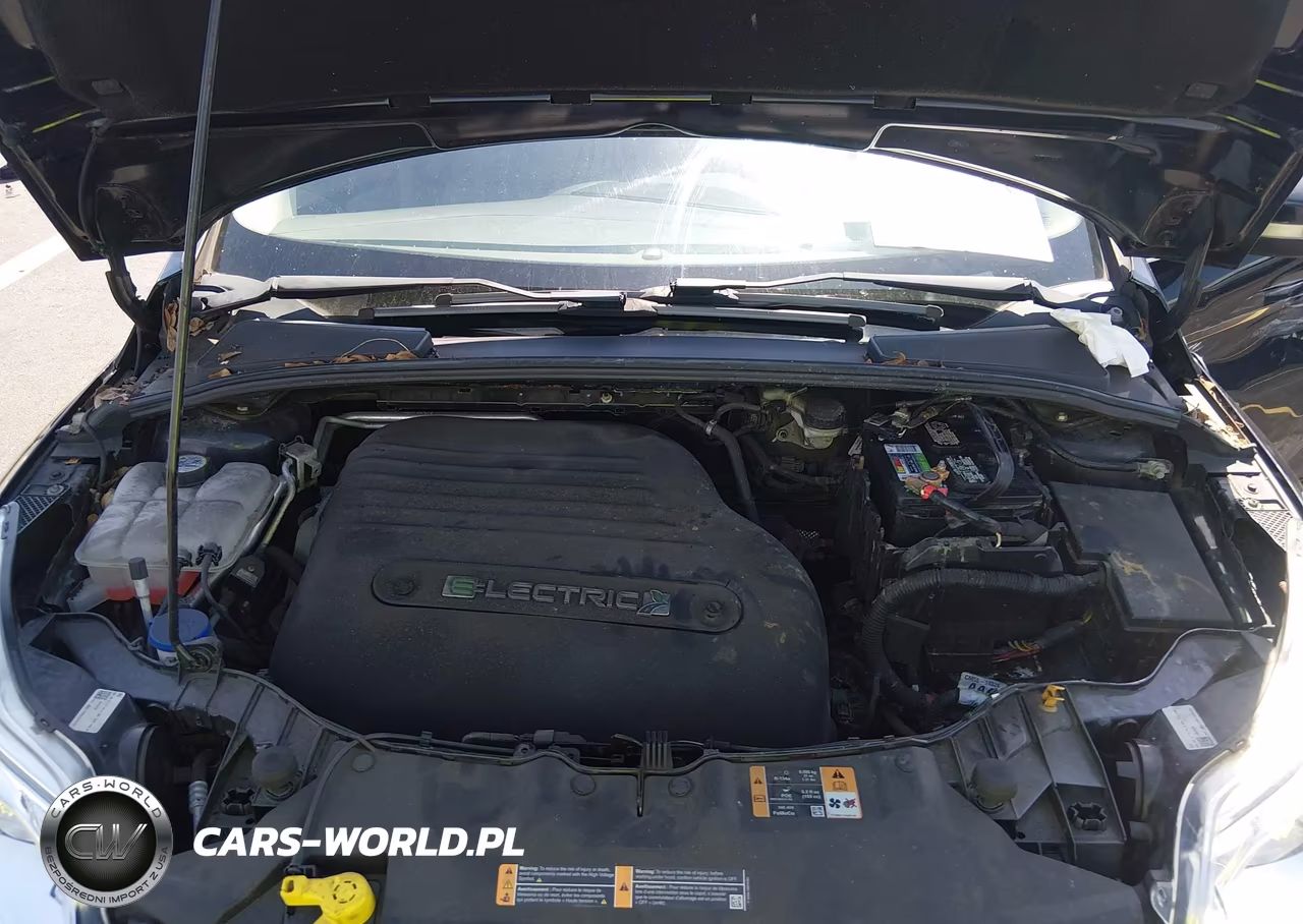 2013 Ford Focus Electric VIN:1FADP3R48DL305017 - 10