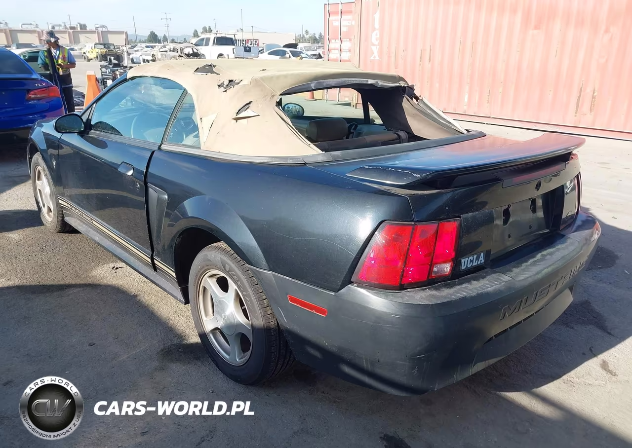 2001 Ford Mustang VIN:1FAFP44431F216097 - 3
