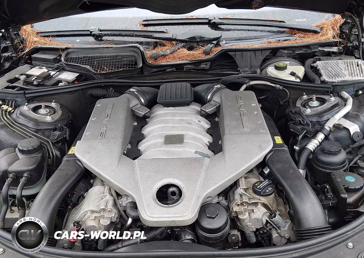 2008 Mercedes-Benz Cl 63 Amg VIN:WDDEJ77X18A010966 - 10