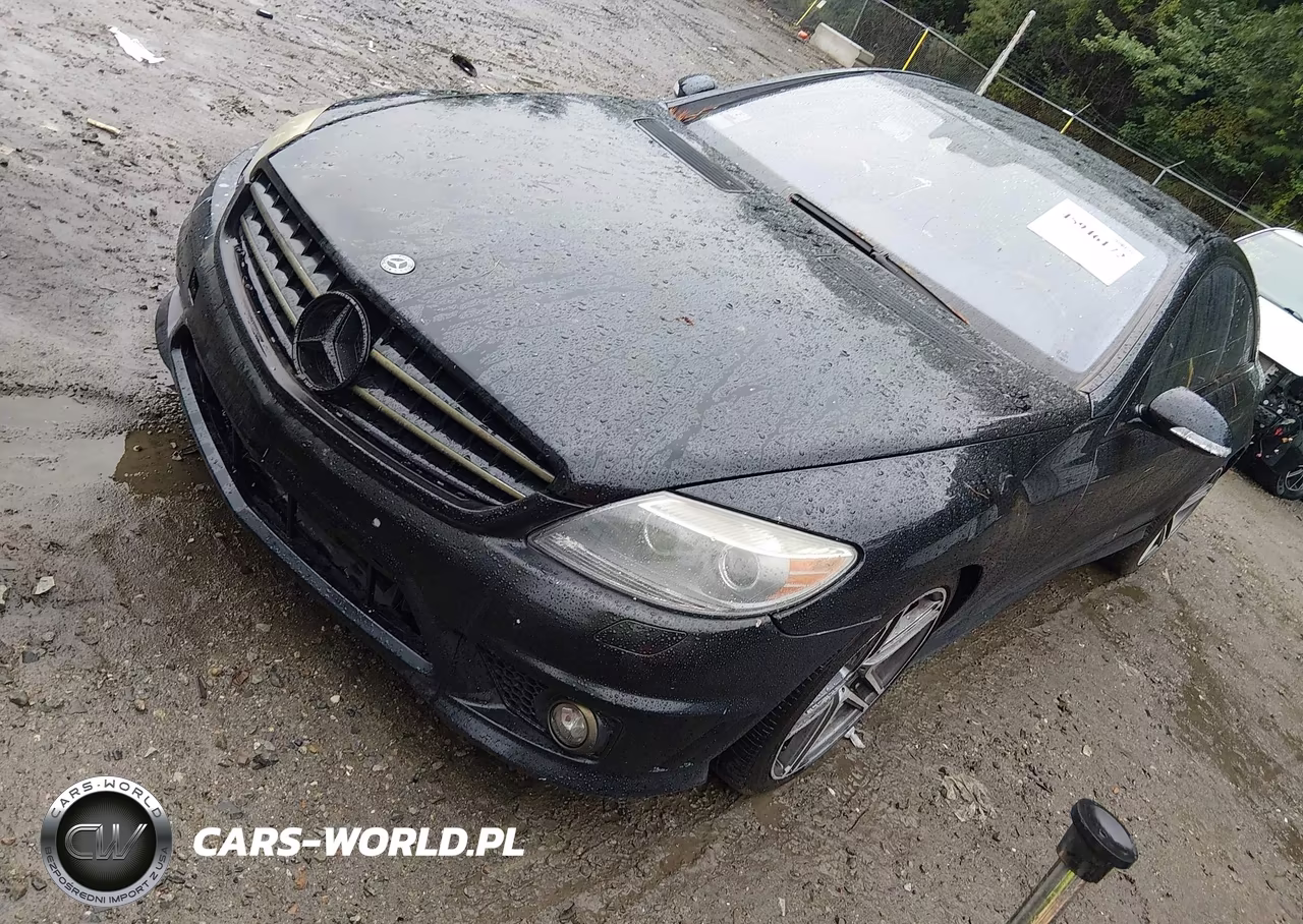 2008 Mercedes-Benz Cl 63 Amg VIN:WDDEJ77X18A010966 - 2