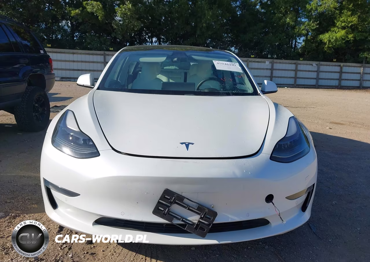 2021 Tesla Model 3 Standard Range Plus Rear-Wheel Drive VIN:5YJ3E1EA2MF870085 - 12