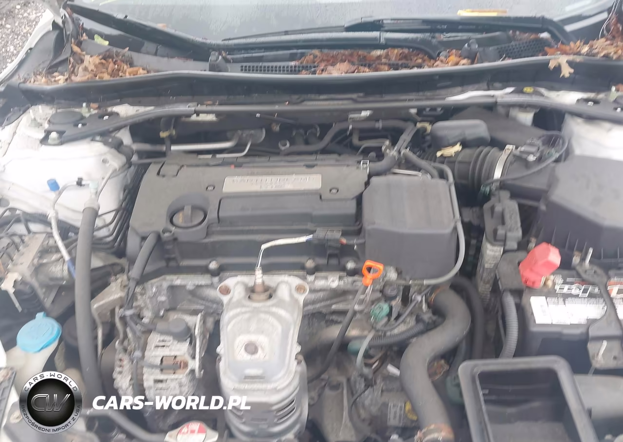 2015 Honda Accord Ex VIN:1HGCR2F7XFA076624 - 10