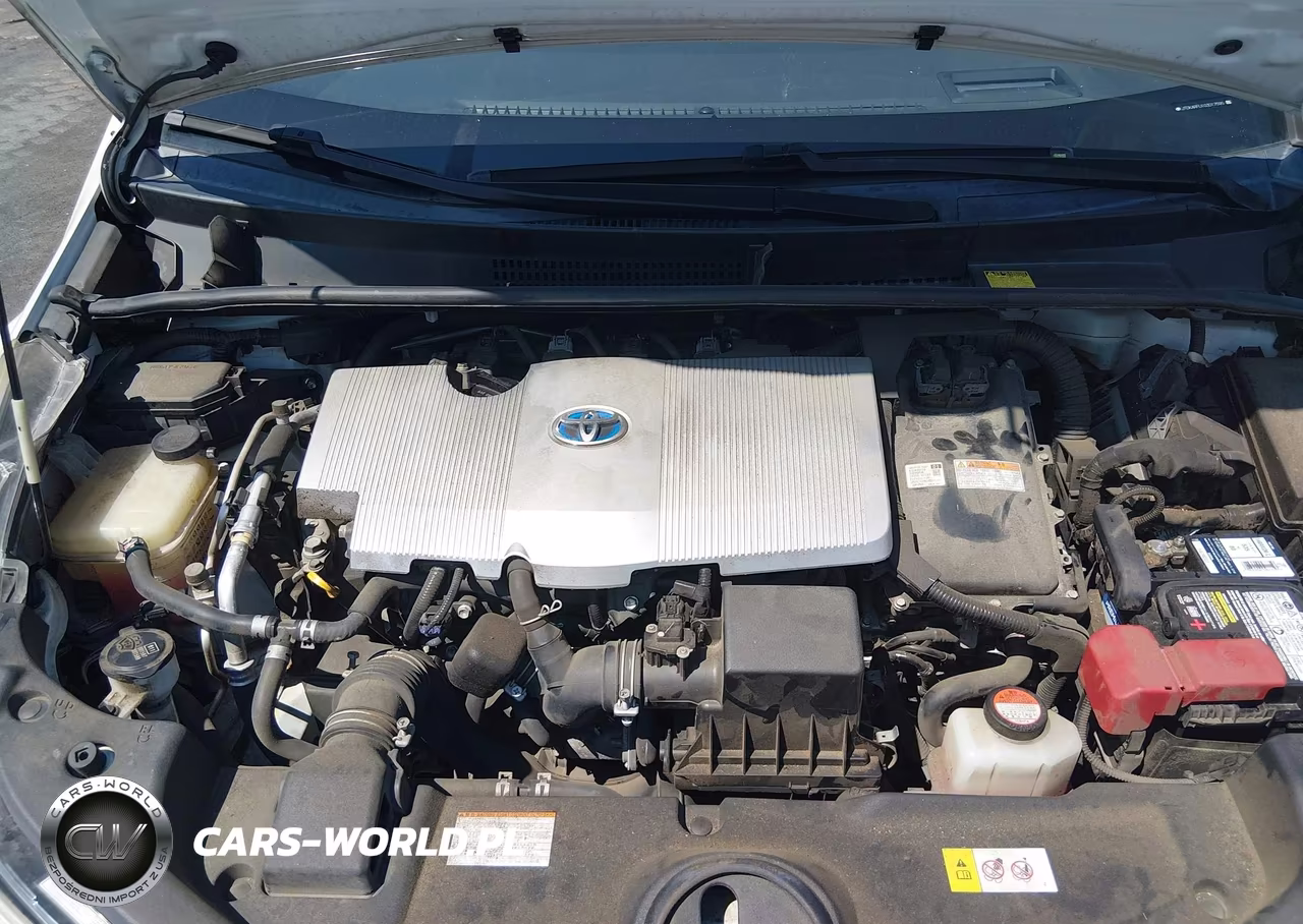 2016 Toyota Prius Three VIN:JTDKARFU1G3017595 - 10