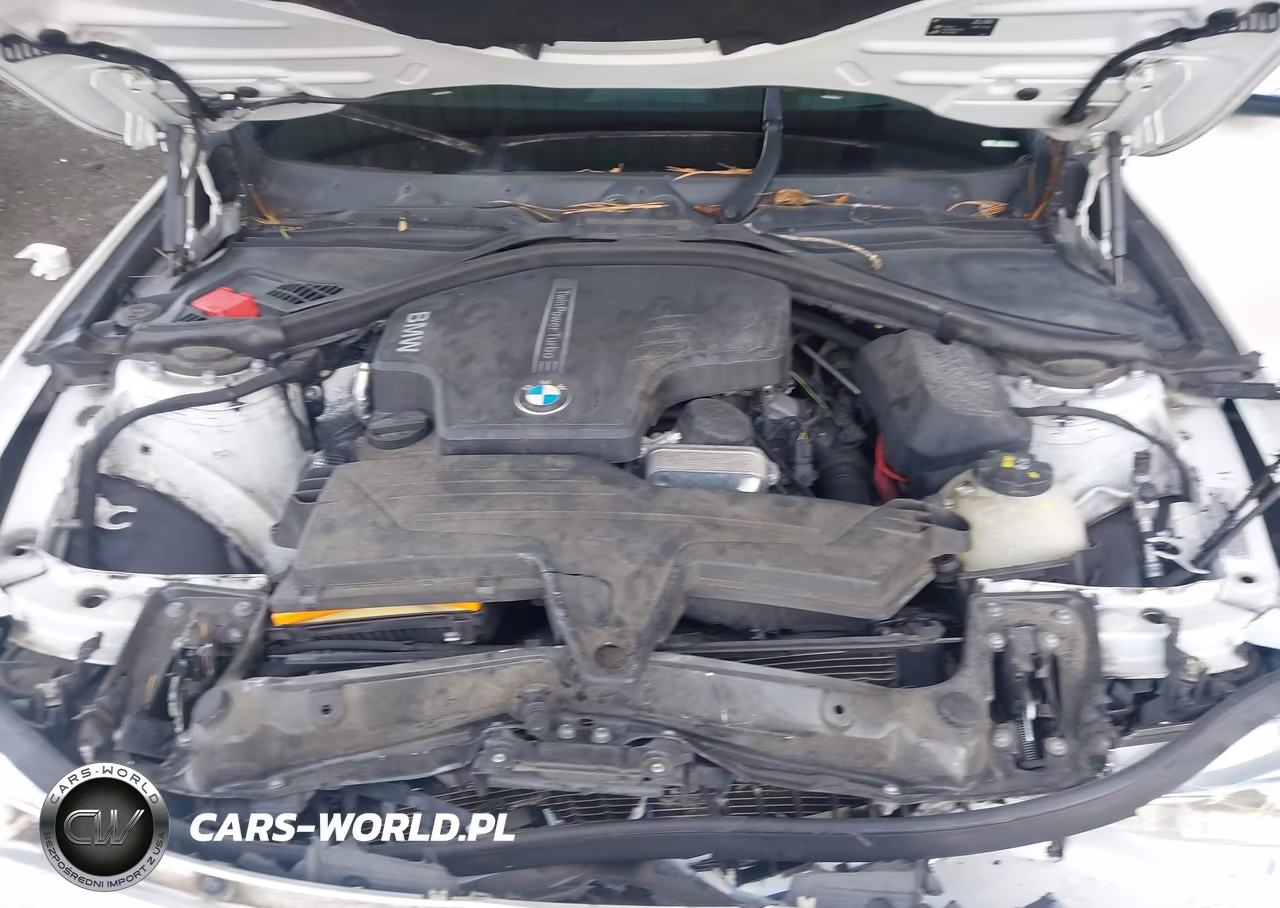 2016 BMW 428I xDrive VIN:WBA3N9C51GK248666 - 10