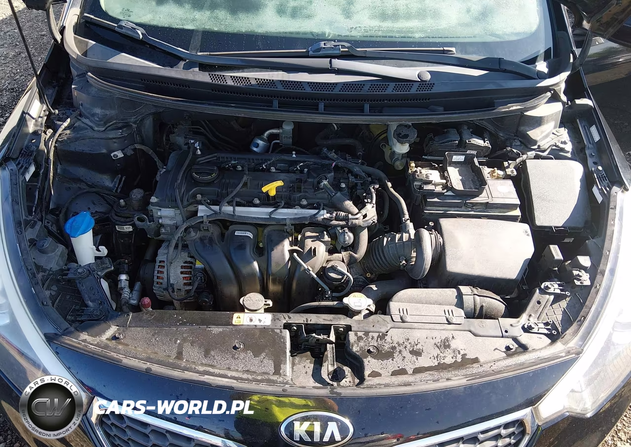 2015 Kia Forte Lx VIN:KNAFK4A66F5434026 - 10