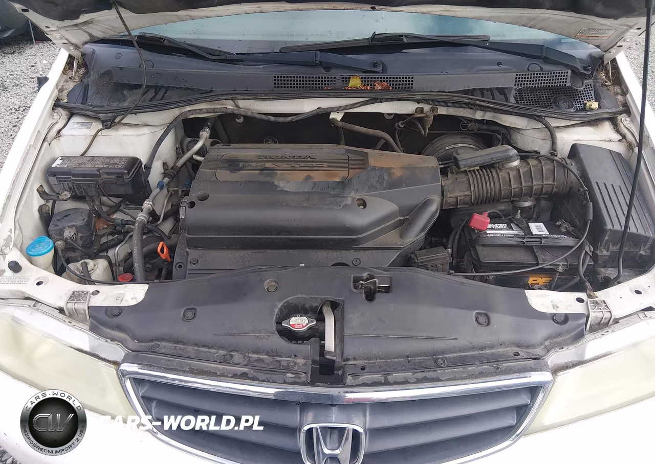 2004 Honda Odyssey Ex-L VIN:5FNRL18984B016090 - 10