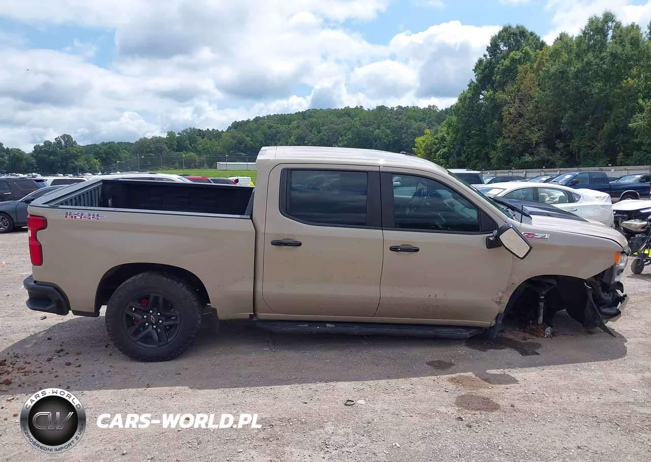 2022 Chevrolet Silverado 1500 4Wd Short Bed Lt Trail Boss VIN:3GCUDFED9NG681282 - 13