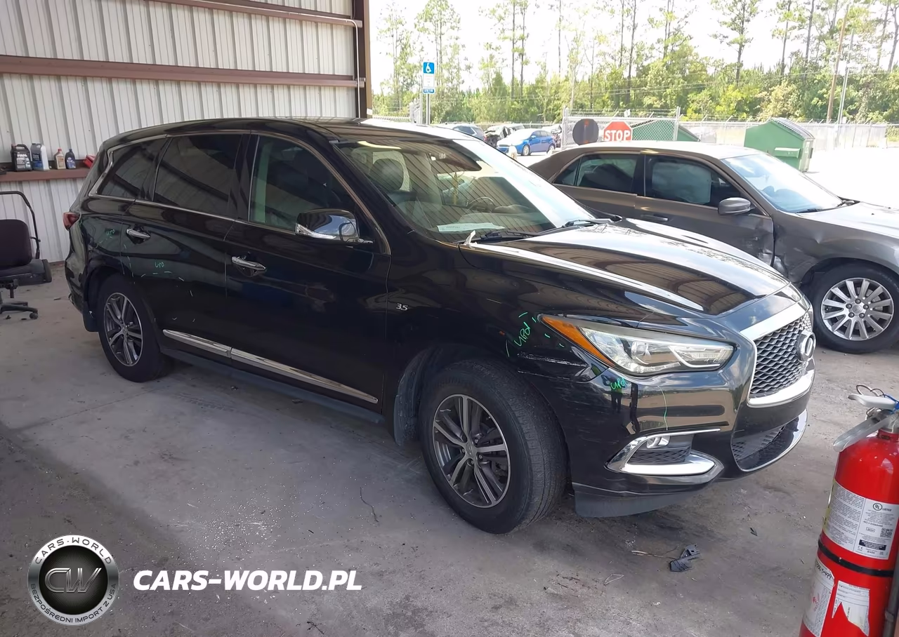 2019 Infiniti Qx60 Pure VIN:5N1DL0MN6KC507299 - 1