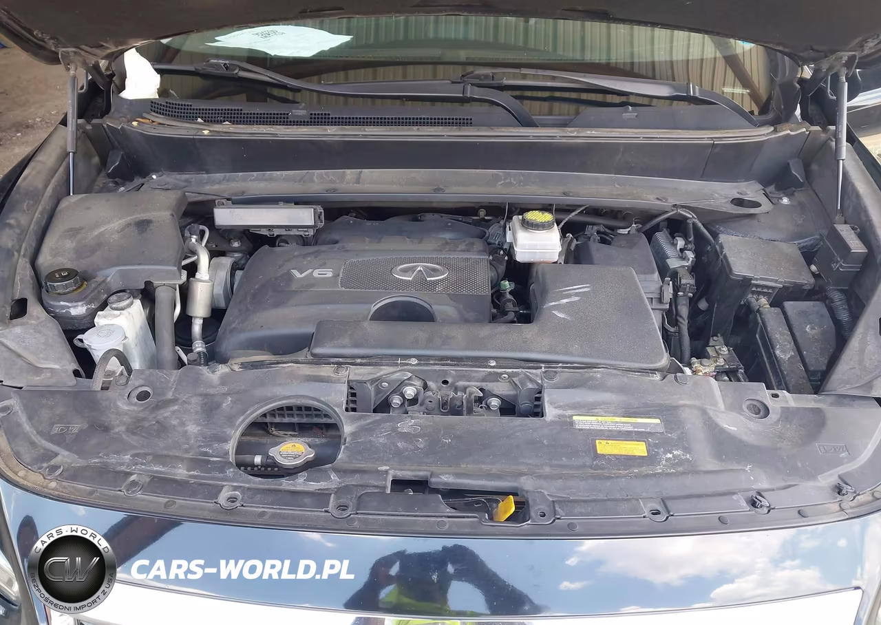 2019 Infiniti Qx60 Pure VIN:5N1DL0MN6KC507299 - 10