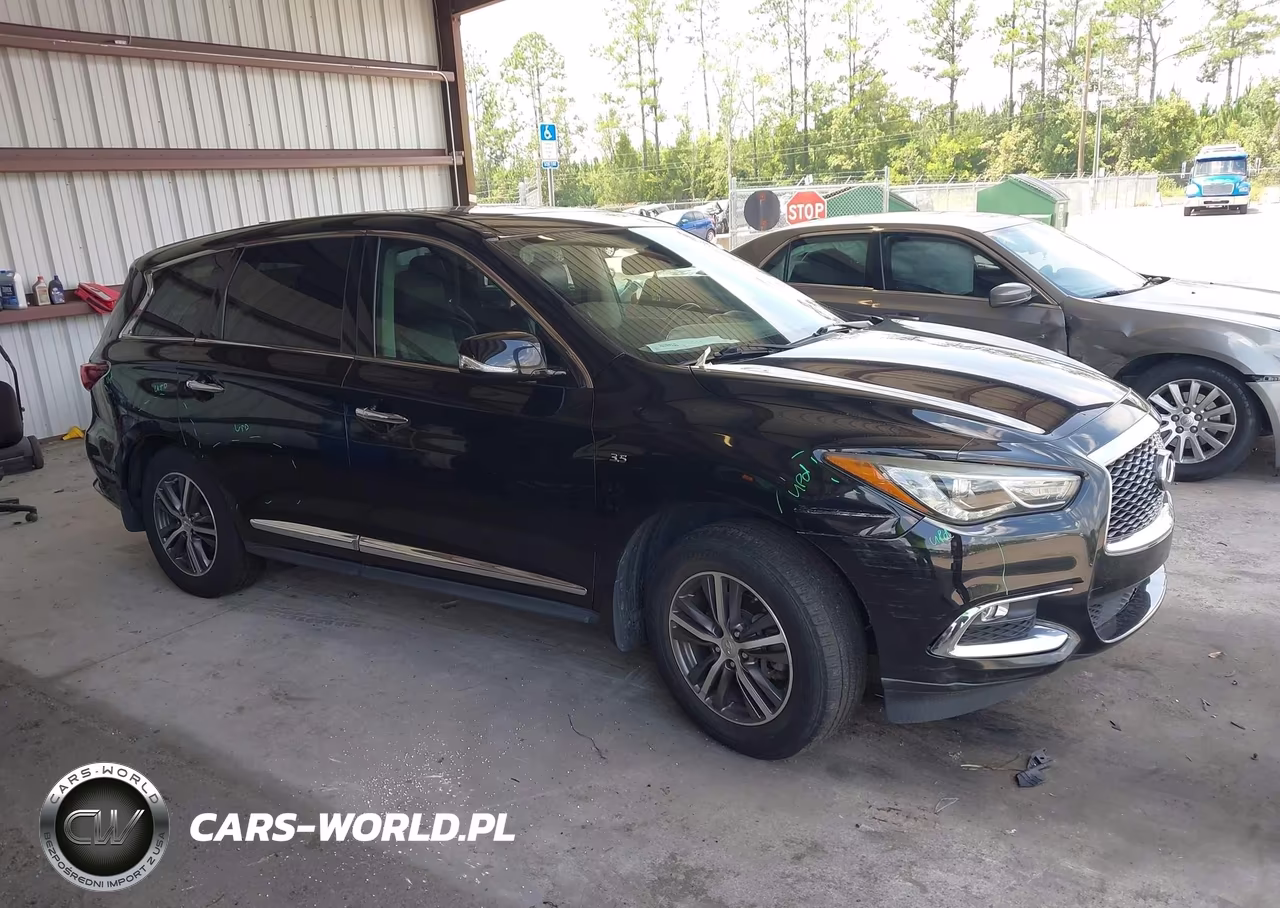 2019 Infiniti Qx60 Pure VIN:5N1DL0MN6KC507299 - 13