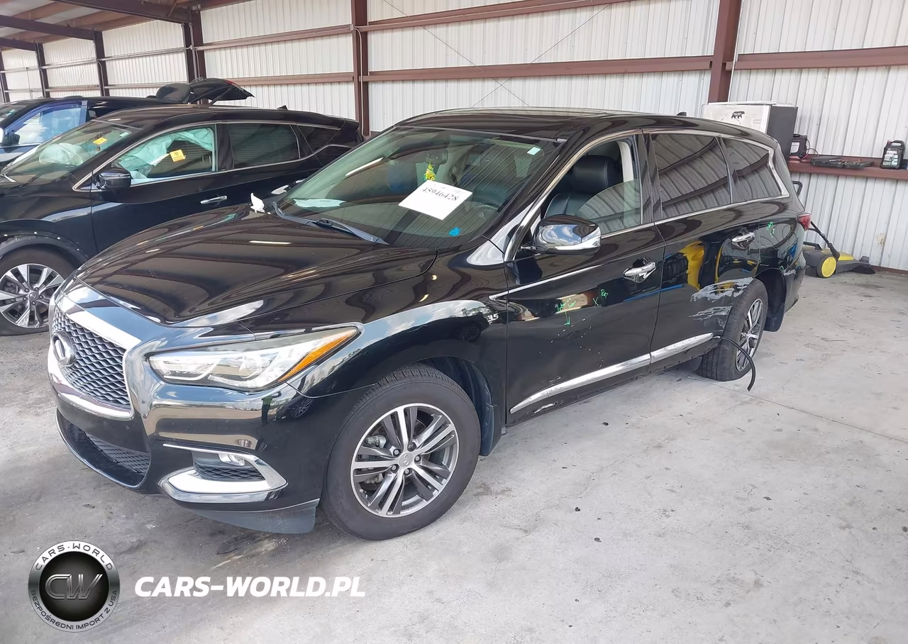 2019 Infiniti Qx60 Pure VIN:5N1DL0MN6KC507299 - 2