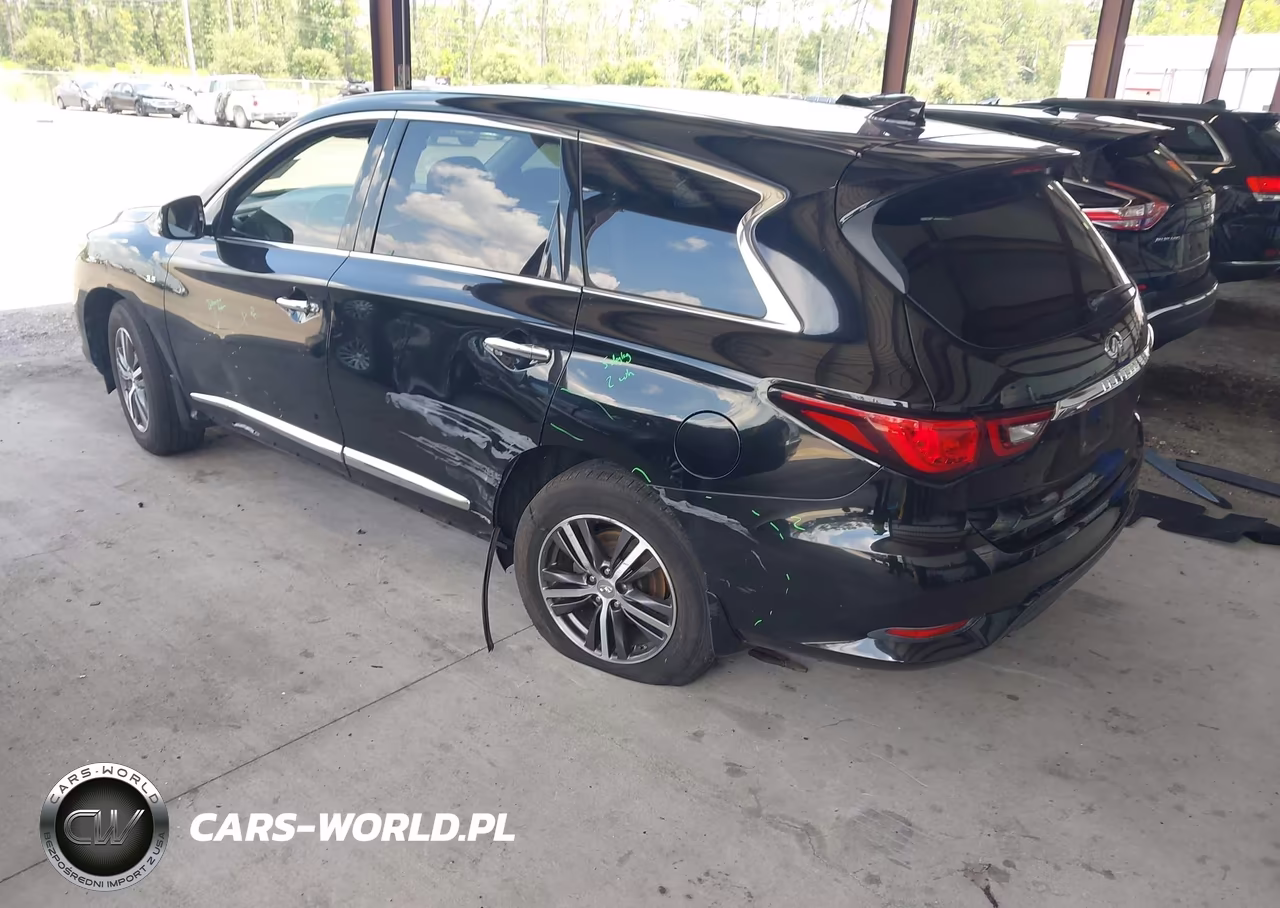 2019 Infiniti Qx60 Pure VIN:5N1DL0MN6KC507299 - 3