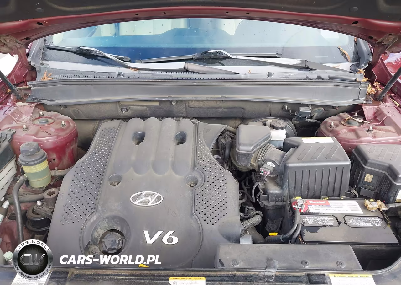2007 Hyundai Santa Fe Gls VIN:5NMSG13D17H090570 - 10