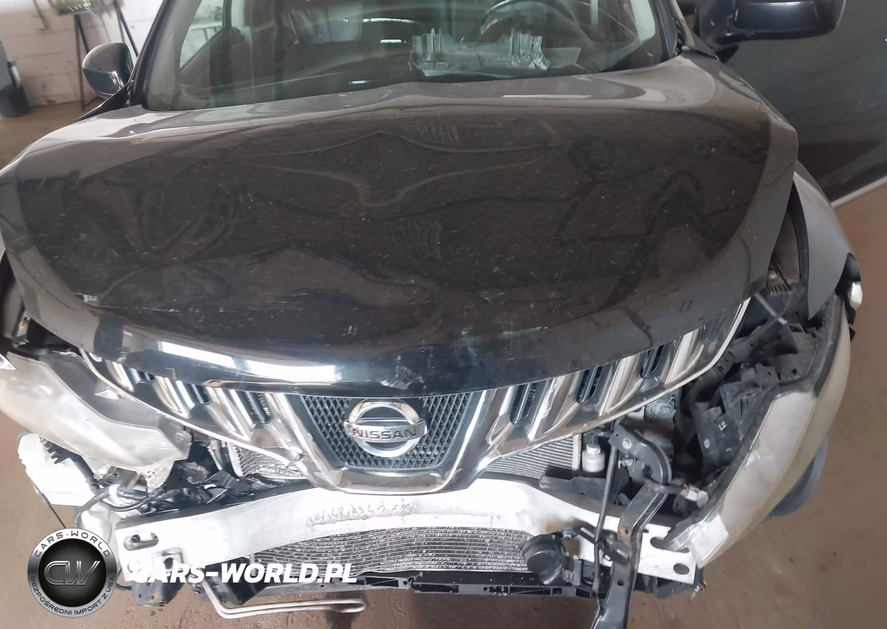 2010 Nissan Murano Sl VIN:JN8AZ1MW7AW125286 - 10