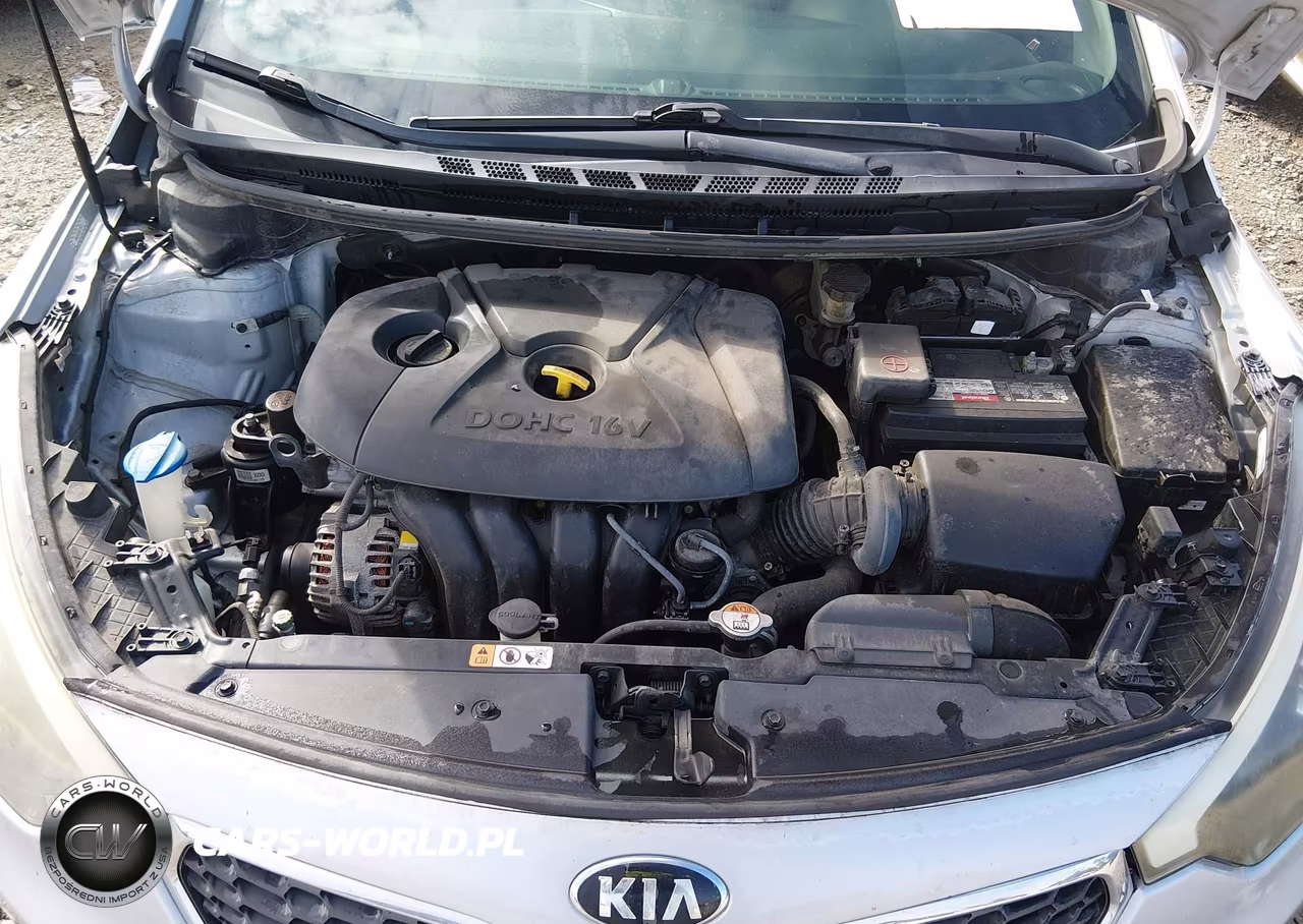 2016 Kia Forte Lx VIN:KNAFK4A6XG5515659 - 10