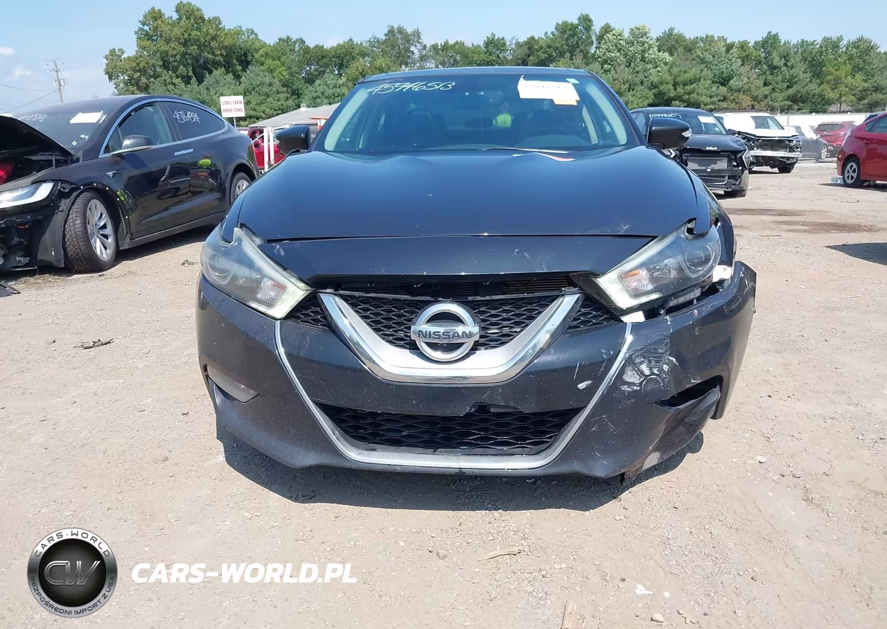 2017 Nissan Maxima 3.5 Platinum VIN:1N4AA6AP3HC437622 - 6