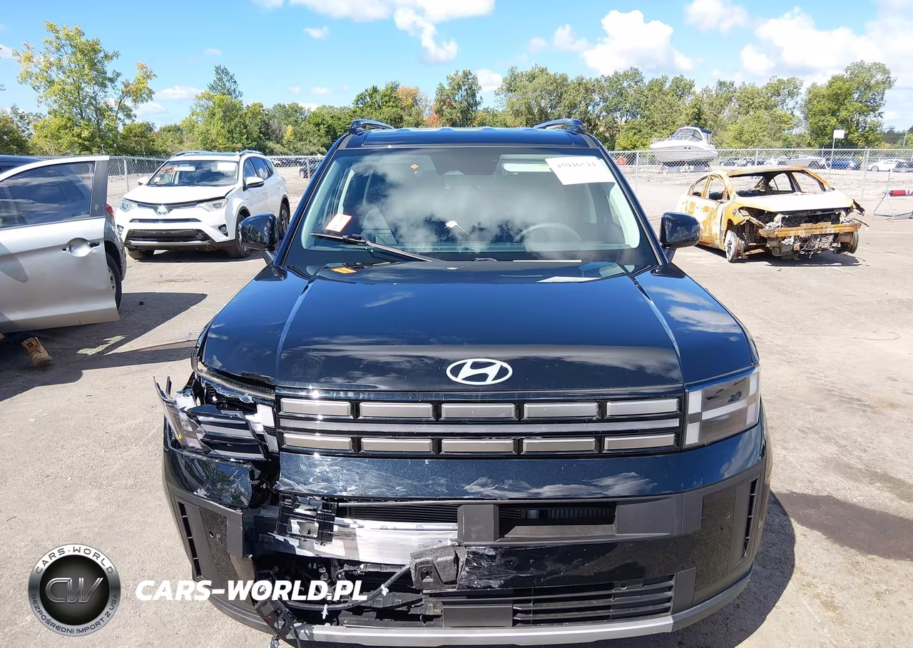 2025 Hyundai Santa Fe Sel VIN:5NMP2DGL9SH132872 - 12