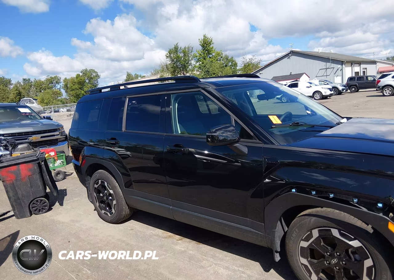 2025 Hyundai Santa Fe Sel VIN:5NMP2DGL9SH132872 - 13