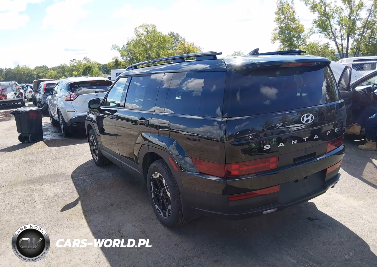 2025 Hyundai Santa Fe Sel VIN:5NMP2DGL9SH132872 - 3