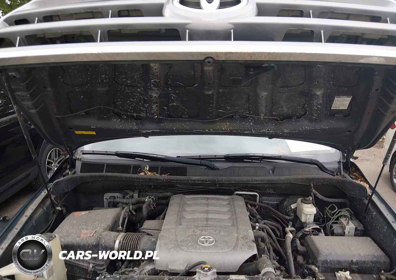 2008 Toyota Sequoia Limited 5.7L V8 VIN:5TDBY68A58S019802 - 10