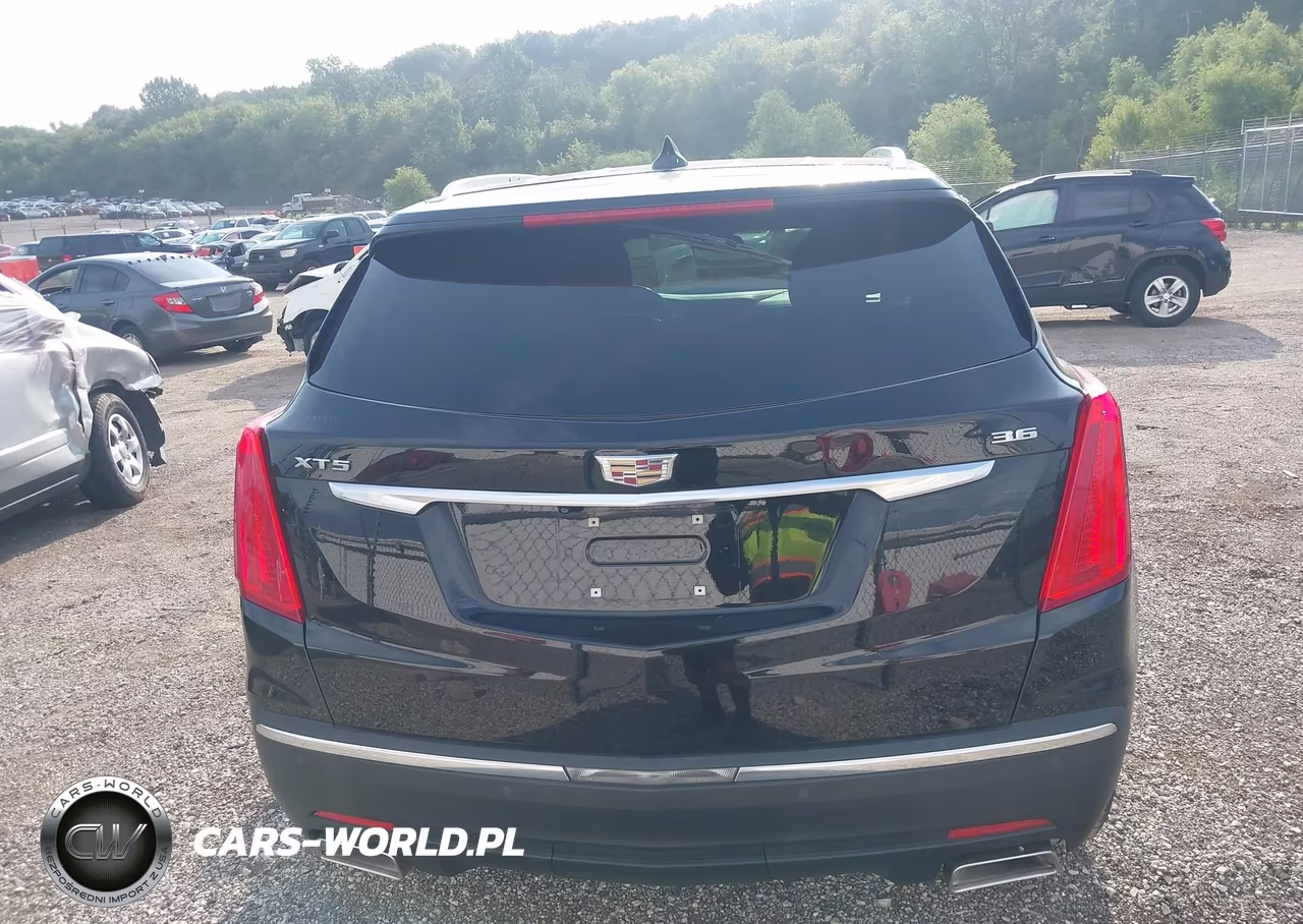 2017 Cadillac Xt5 Luxury VIN:1GYKNBRSXHZ101803 - 16