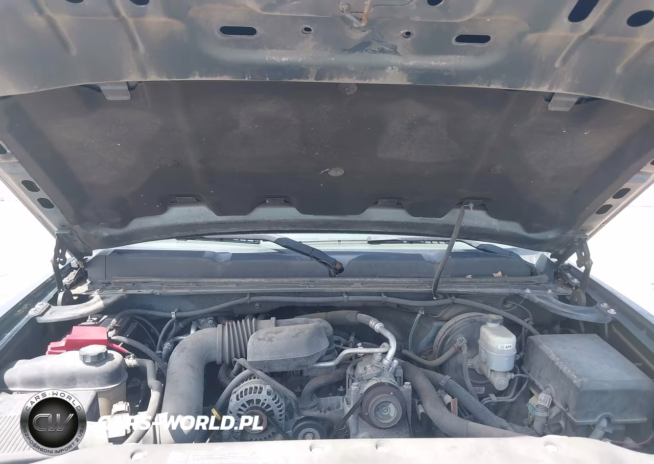 2010 Chevrolet Silverado 1500 Work Truck VIN:1GCSCPEX6AZ100793 - 10