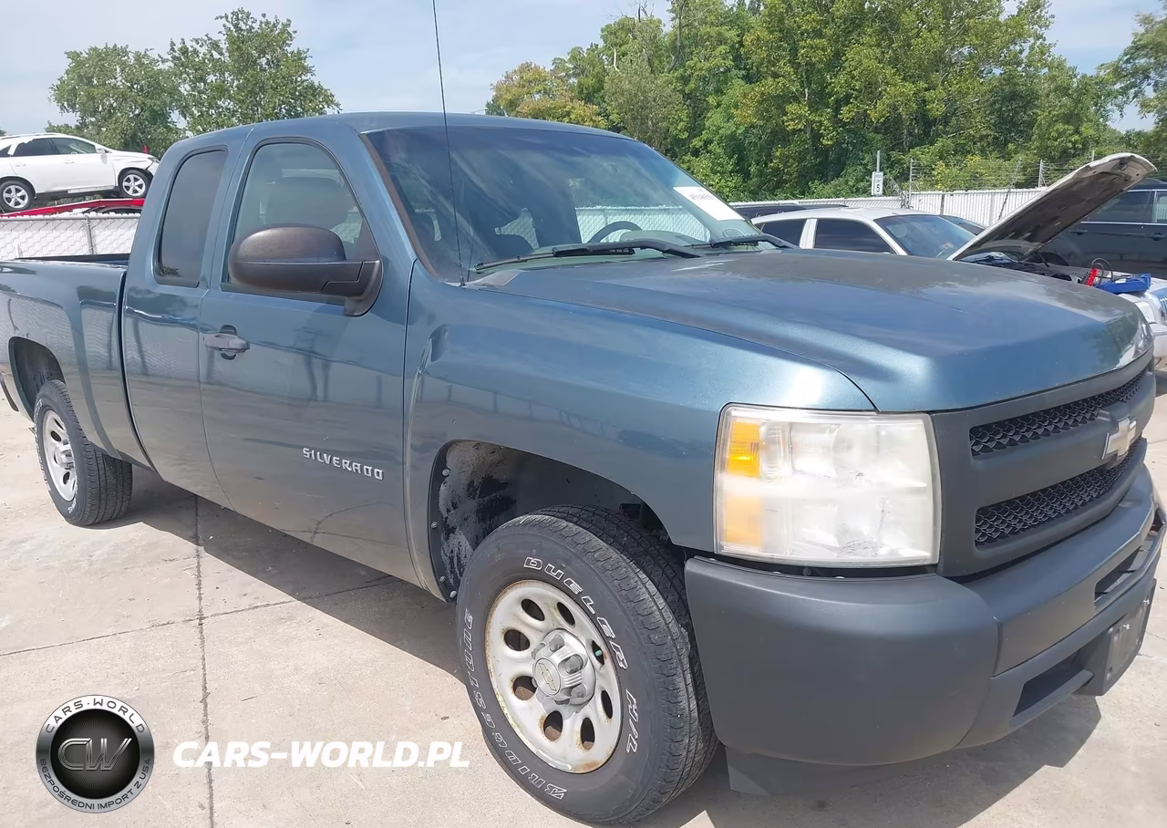 2010 Chevrolet Silverado 1500 Work Truck VIN:1GCSCPEX6AZ100793 - 12