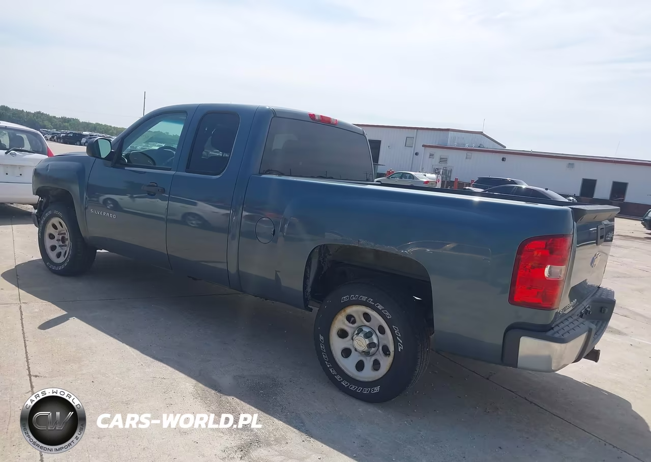 2010 Chevrolet Silverado 1500 Work Truck VIN:1GCSCPEX6AZ100793 - 3