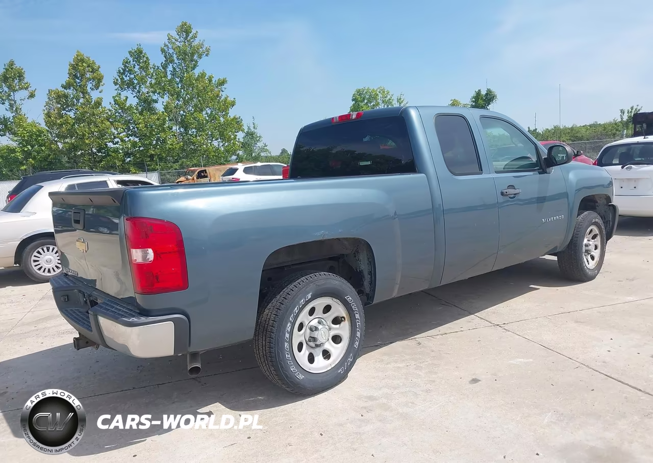 2010 Chevrolet Silverado 1500 Work Truck VIN:1GCSCPEX6AZ100793 - 4