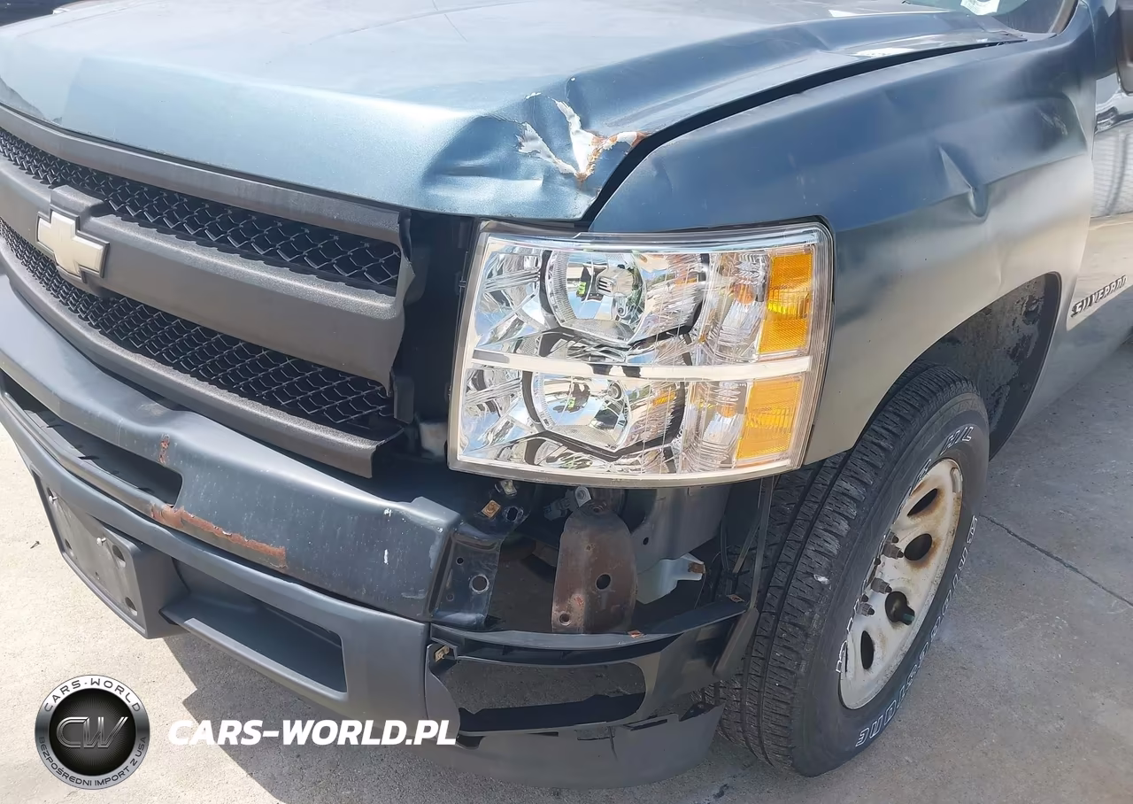 2010 Chevrolet Silverado 1500 Work Truck VIN:1GCSCPEX6AZ100793 - 6