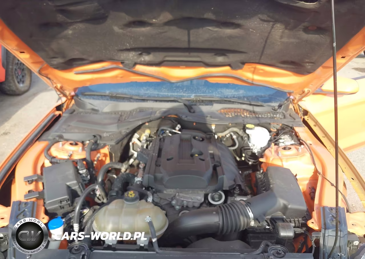 2020 Ford Mustang Ecoboost Fastback VIN:1FA6P8TH2L5172159 - 10