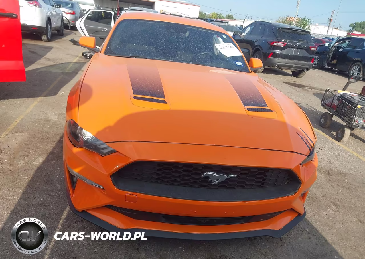 2020 Ford Mustang Ecoboost Fastback VIN:1FA6P8TH2L5172159 - 12