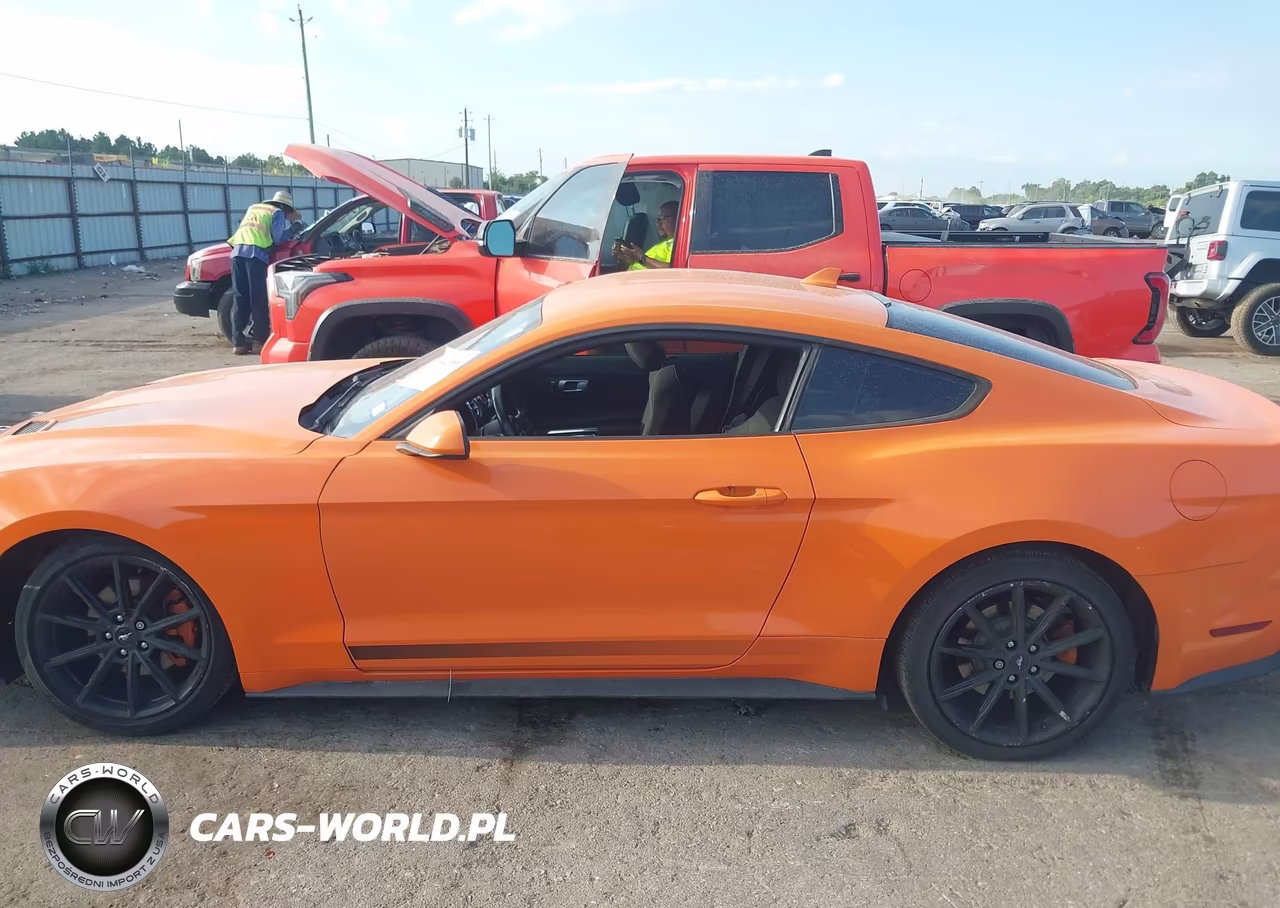2020 Ford Mustang Ecoboost Fastback VIN:1FA6P8TH2L5172159 - 14