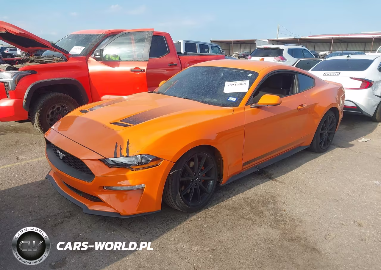 2020 Ford Mustang Ecoboost Fastback VIN:1FA6P8TH2L5172159 - 2