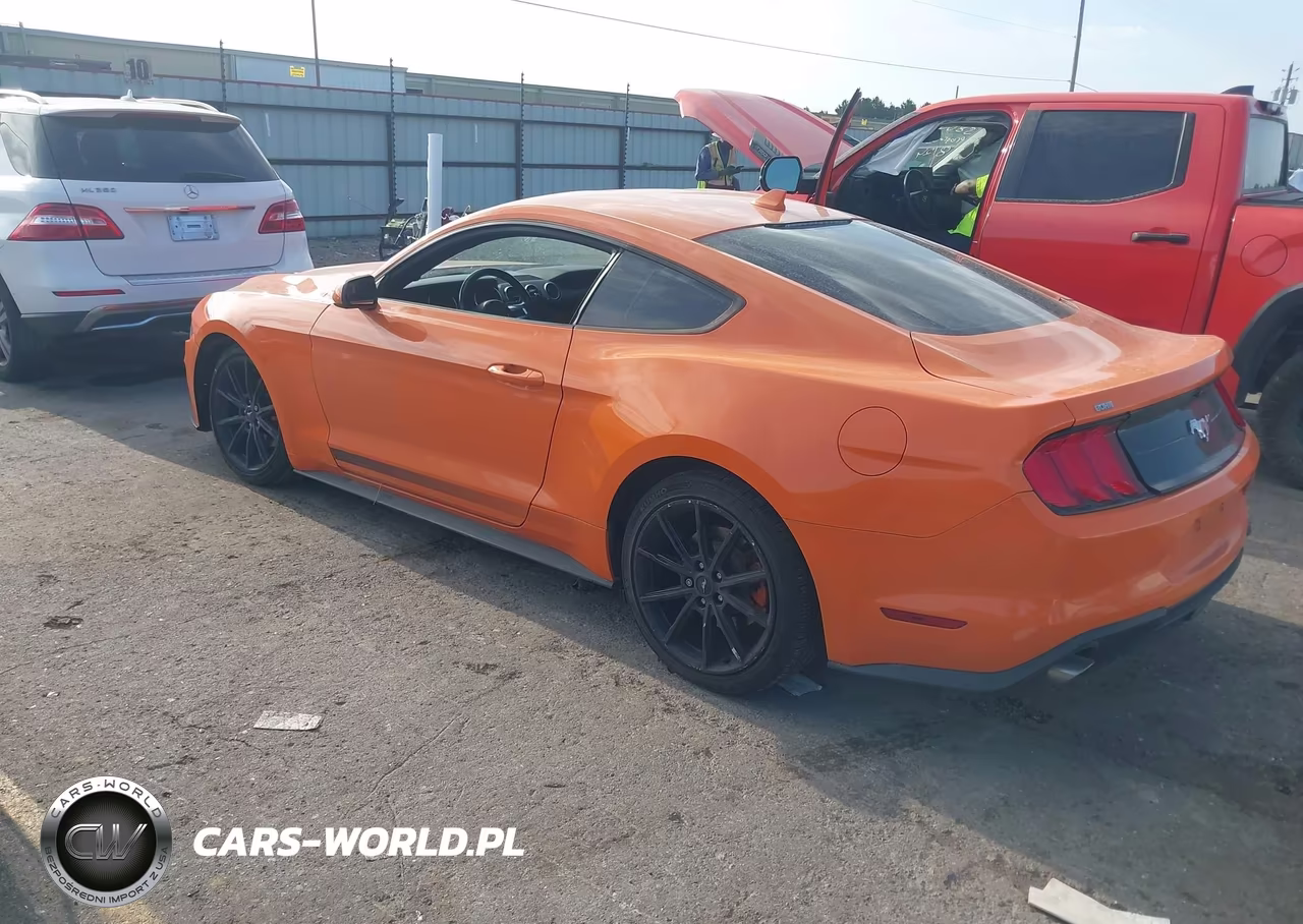2020 Ford Mustang Ecoboost Fastback VIN:1FA6P8TH2L5172159 - 3