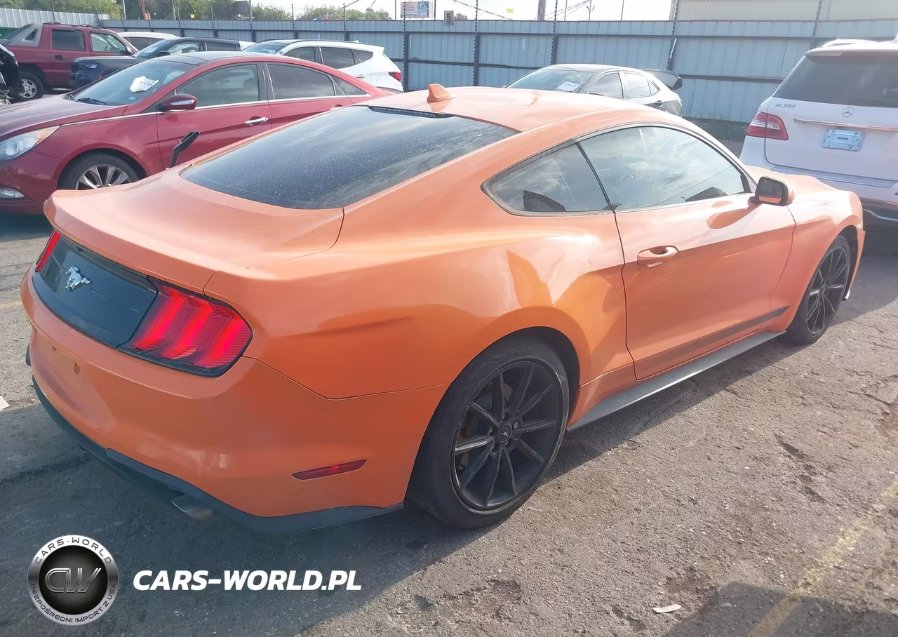 2020 Ford Mustang Ecoboost Fastback VIN:1FA6P8TH2L5172159 - 4