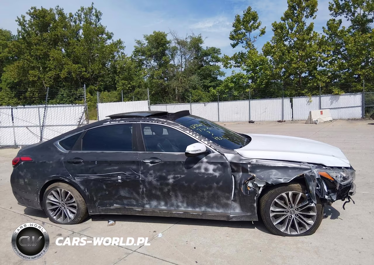2015 Hyundai Genesis 3.8 VIN:KMHGN4JE8FU064642 - 11