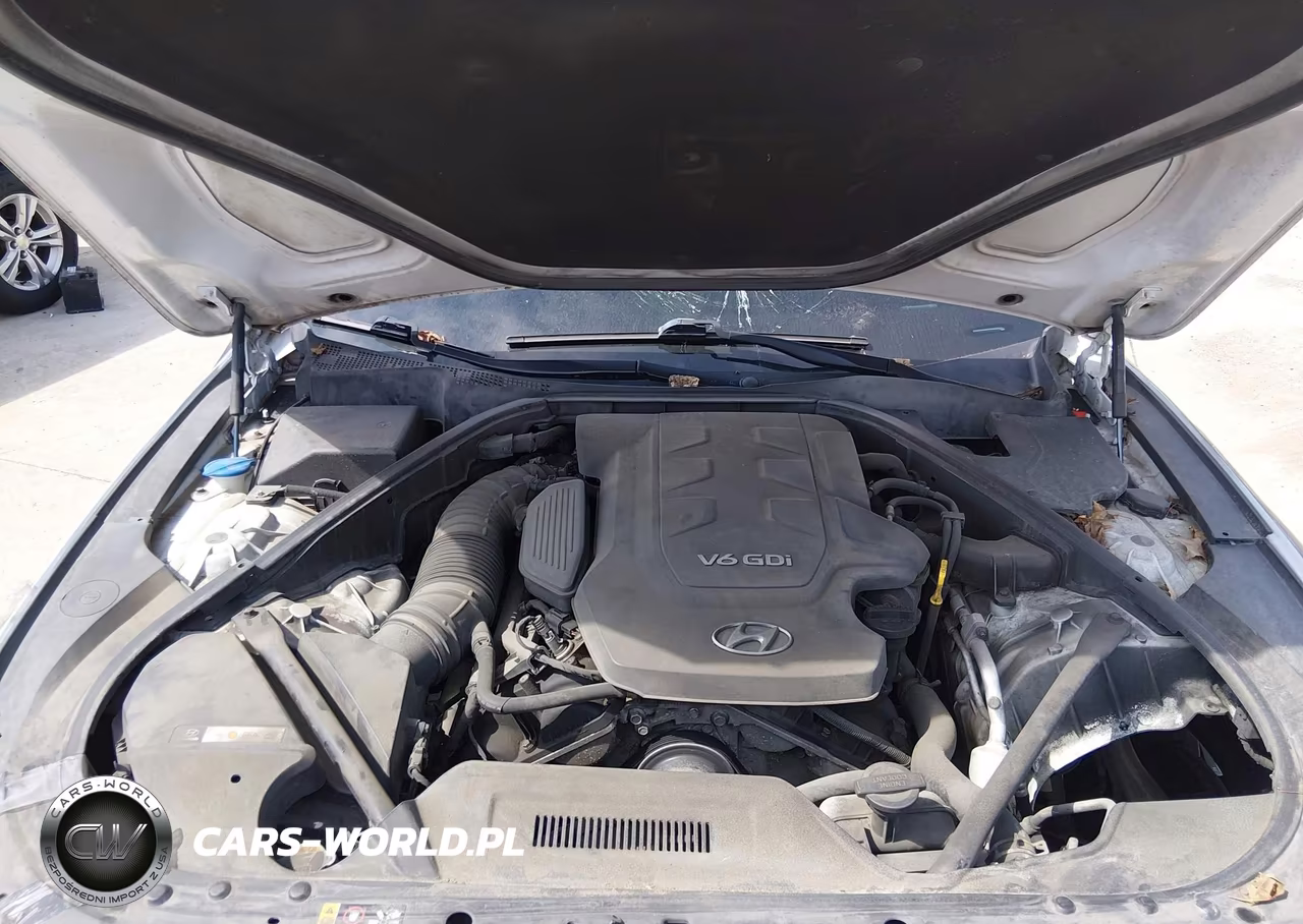 2015 Hyundai Genesis 3.8 VIN:KMHGN4JE8FU064642 - 9