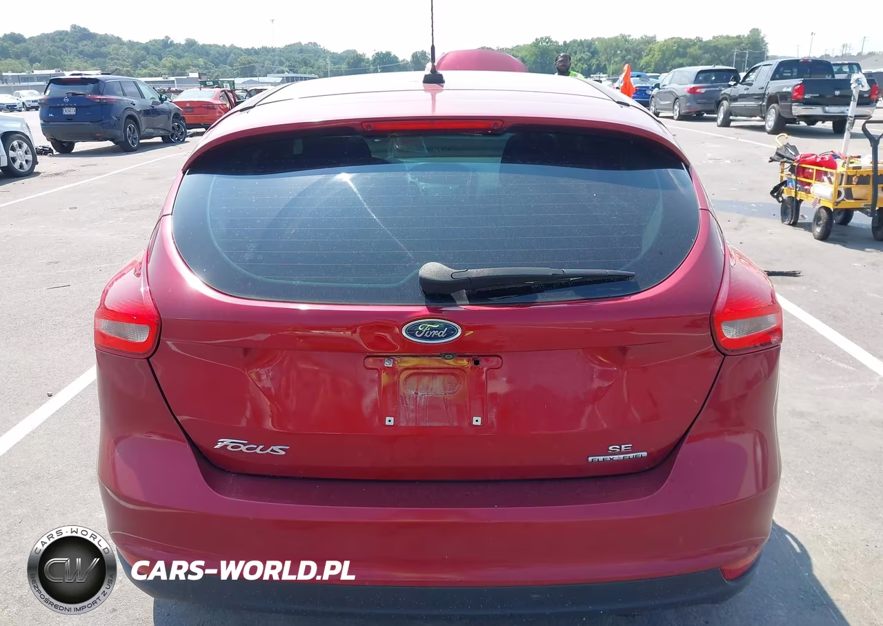 2016 Ford Focus Se VIN:1FADP3K29GL310143 - 16