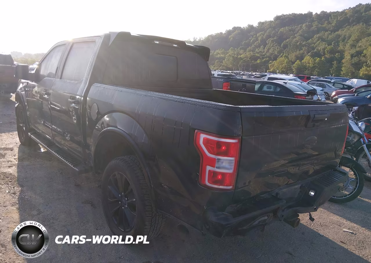 2020 Ford F-150 Xlt VIN:1FTEW1E47LFC19979 - 3